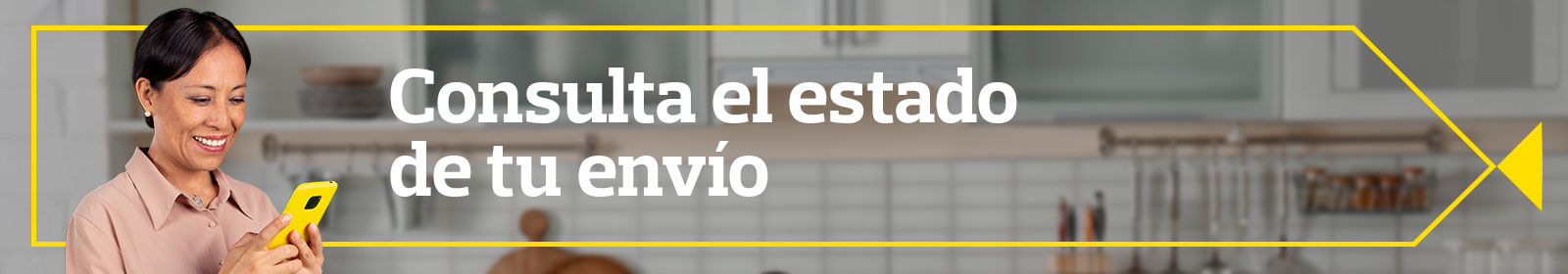 Estado de tu envío